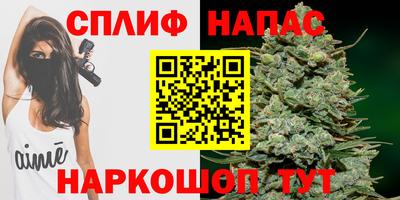 таблы Будённовск