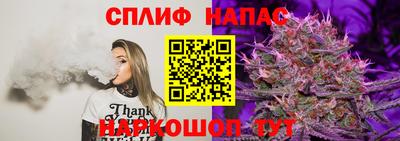 PSILOCYBIN Кизляр