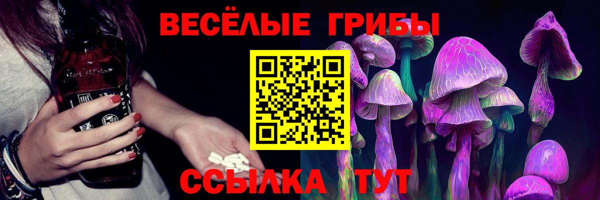 Псилоцибиновые грибы Psilocybe Люберцы